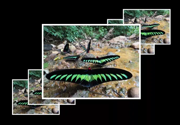 Focus stacking e bracketing